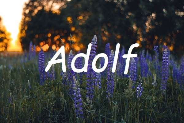 Jméno Adolf na pozadí fotografie levandulí na louce při západu slunce.