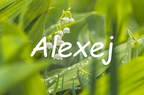 Jméno Alexej na pozadí fotografie s detailem na konvalinky.