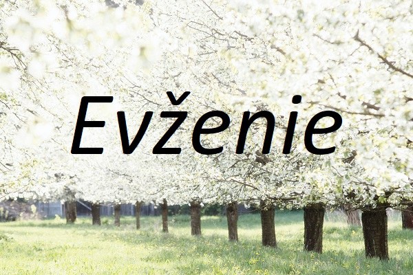 Jméno Evženie na pozadí fotografie rozkvetlé aleje stromů.