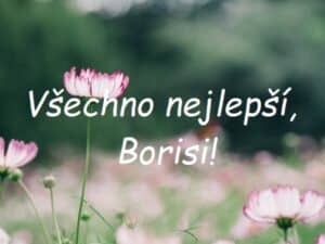 Nápis "Všechno nejlepší, Borisi!" na pozadí detailu na rozkvetlé luční kvítí.
