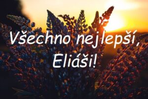 Nápis "Všechno nejlepší, Eliáši!" na pozadí kytice z levandule při západu slunce.