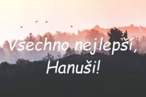Nápis "Všechno nejlepší, Hanuši!" na pozadí letících ptáků nad lesem a chalupami.