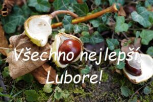 Nápis "Všechno nejlepší, Lubore!" na pozadí spadlých kaštanů ve slupce na zemi v lese.