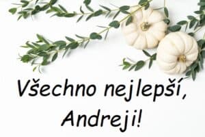 Nápis "Všechno nejlepší, Andreji!" na bílém pozadí se dvěma patisony a větvičkami s listy.