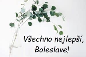 Nápis "Všechno nejlepší, Boleslave!" na bílém pozadí s větvičkou v průhledné váze.