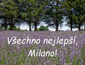 Nápis "Všechno nejlepší, Milano!" na pozadí levandulové louky u listnatého lesa.