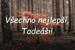 Nápis "Všechno nejlepší, Tadeáši!" na pozadí temného lesa se zářivě hnědým malým listnatým stromkem.
