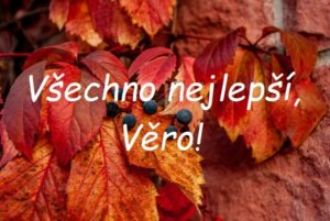 Nápis "Všechno nejlepší, Věro!" na pozadí podzimně zbarveného listí s černými bobulemi.