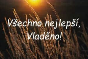 Nápis "Všechno nejlepší, Vladěno!" na pozadí travnatých klasů na louce při západu slunce.