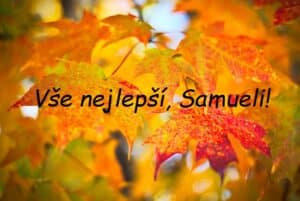 Podzimní listí s přáním všeho nejlepšího Samuelovi.