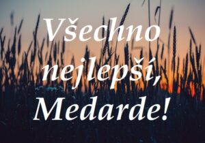 Nápis "Všechno nejlepší, Medarde!" na pozadí ječmenných klasů při západu slunce.