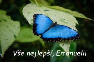 Přání všeho nejlepšího k svátku Emanuelovi na pozadí zářivě modrého motýla sedícího na zeleném listu.