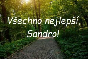Nápis "Všechno nejlepší, Sandro!" na pozadí vydlážděné cestičky v listnatém lese.