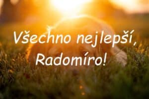 Přání "Všechno nejlepší, Radomíro!" na pozadí ležícího štěněte v trávě při západu slunce.