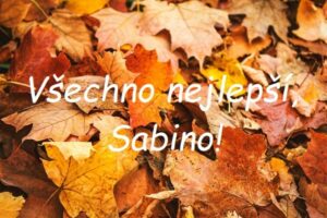 Nápis "Všechno nejlepší, Sabino!" na pozadí spadaného žlutého javorového listí.