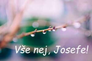 Pučící orosené kočičky na jaře s přáním všeho nej Josefovi.