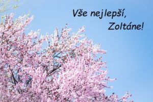 Rozkvetlý růžový strom na pozadí modré oblohy s nápisem Vše nejlepší, Zoltáne!