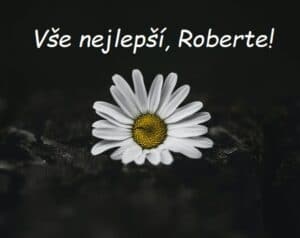 Sedmikráska na černém pozadí s bílým nápisem Vše nejlepší, Roberte!