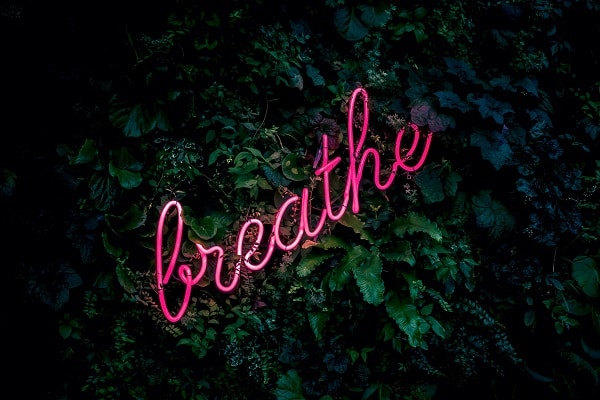 Svítící nápis "breathe" v křoví.