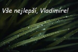 Zelená tráva s kapkami rosy a nápisem Vše nejlepší, Vladimíre!