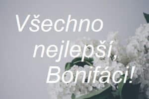 Nápis "Všechno nejlepší, Bonifáci!" na pozadí bílé květiny.