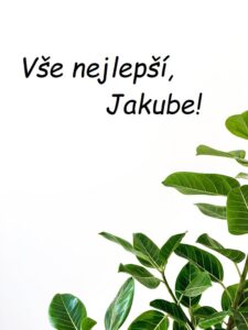 Zelené listy na bílém pozadí s přáním všeho nejlepšího Jakubovi.
